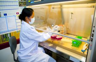 WHO calls for research and development proposals for medicines, diagnostics and health technologies